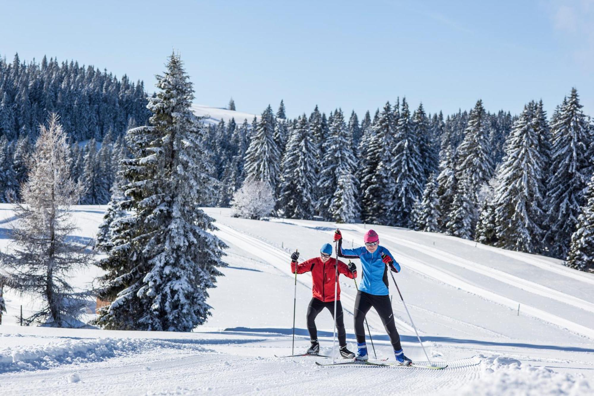 Schwarzwaldhaus Krebs - Peter Lustig, Lenzkirch, Feldberg Appartement Buitenkant foto