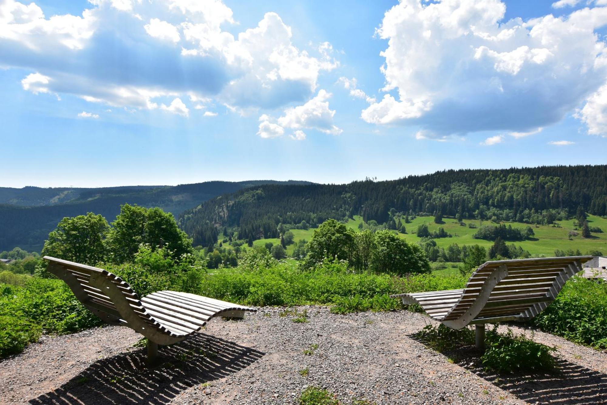 Schwarzwaldhaus Krebs - Peter Lustig, Lenzkirch, Feldberg Appartement Buitenkant foto