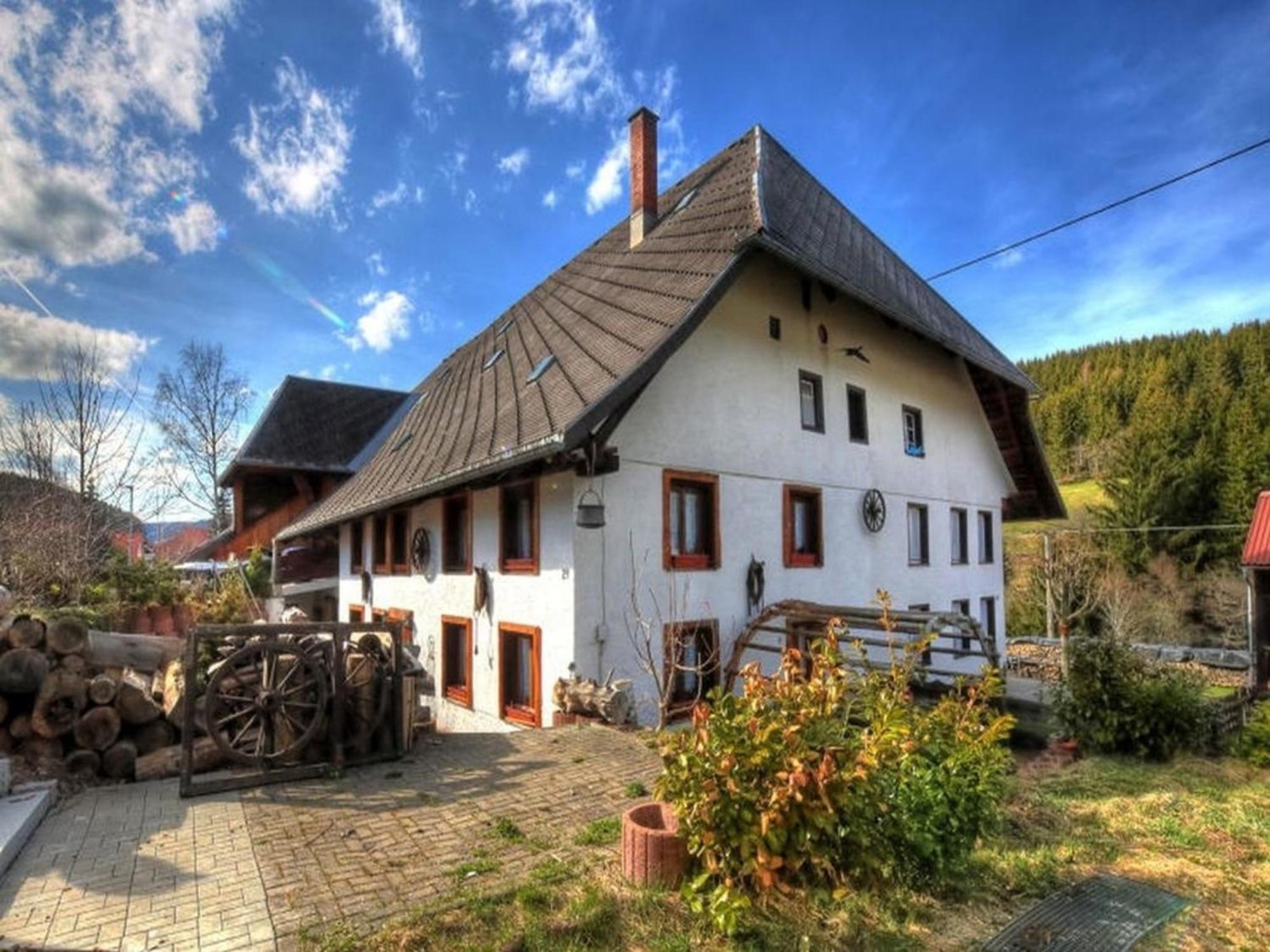 Schwarzwaldhaus Krebs - Peter Lustig, Lenzkirch, Feldberg Appartement Buitenkant foto