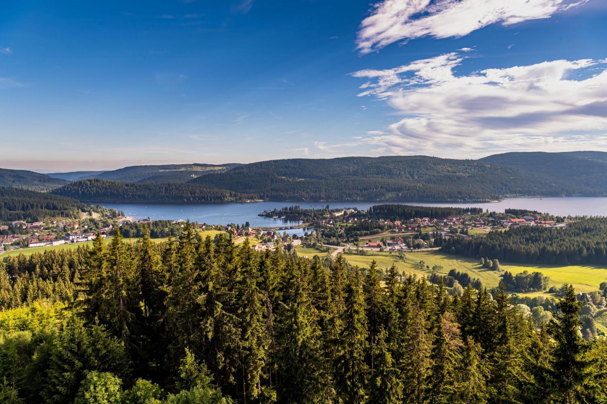 Schwarzwaldhaus Krebs - Peter Lustig, Lenzkirch, Feldberg Appartement Buitenkant foto